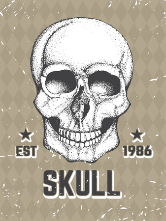 Vector Hand Drawn human skull. Artistic graphic illustration.のイラスト素材