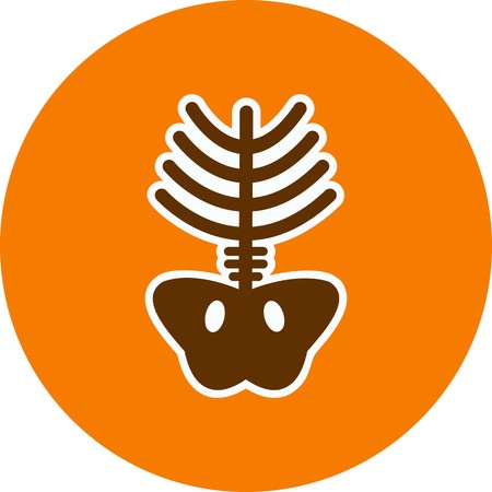 Vector Xray Iconのイラスト素材