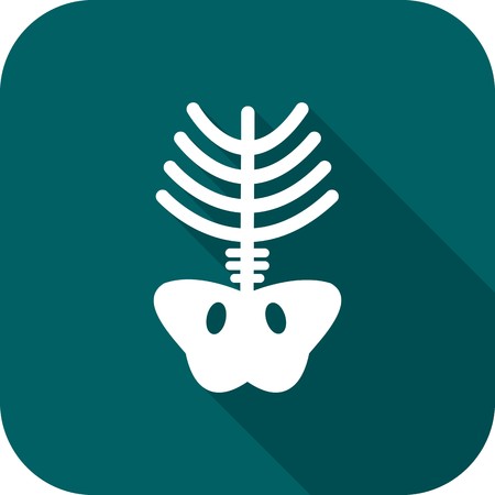 Vector Xray Icon