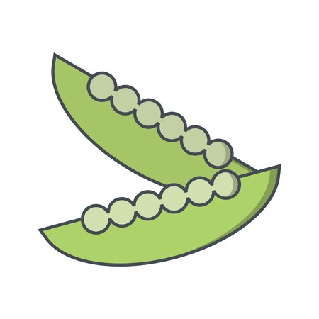 Vector Beans Iconのイラスト素材