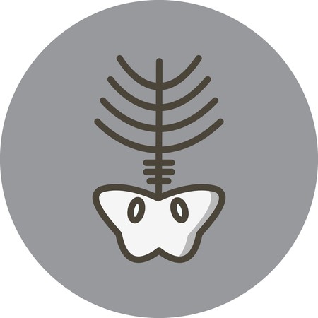 Vector Xray Iconのイラスト素材