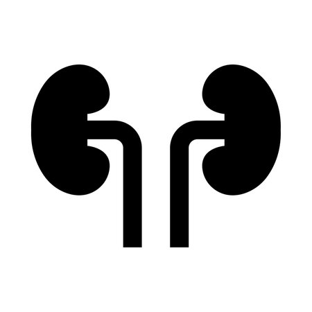 Kidney Vector Glyph Icon For Personal And Commercial Use.のイラスト素材