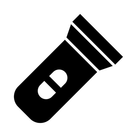 Torch Vector Glyph Icon For Personal And Commercial Use.のイラスト素材