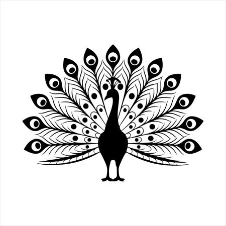 Peacock. Black and white peacock. Vector illustration.のイラスト素材