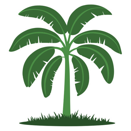 Isolated palm tree icon on a white background, Vector illustration.のイラスト素材
