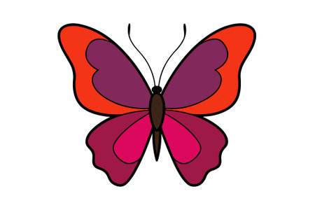 beautiful butterfly icon over white background. colorful design. vector illustrationのイラスト素材