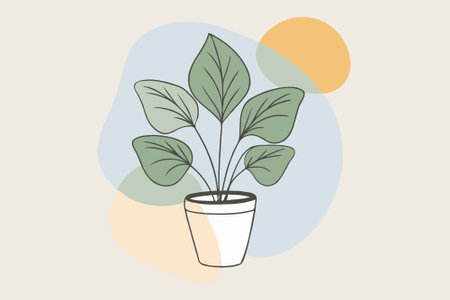Home plant in a pot. Vector illustration in flat design style.のイラスト素材