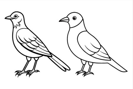 Black and white vector illustration of a pair of pigeons on a white backgroundのイラスト素材