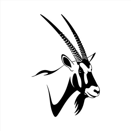 Gemsbok antelope on white background. Vector illustration.のイラスト素材