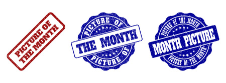 PICTURE OF THE MONTH scratched stamp seals in red and blue colors. Vector PICTURE OF THE MONTH labels with distress texture. Graphic elements are rounded rectangles, rosettes, circles and text labels.のイラスト素材
