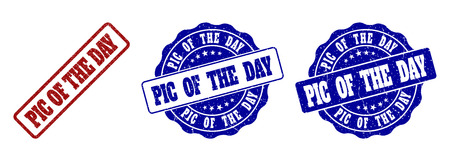 PIC OF THE DAY grunge stamp seals in red and blue colors. Vector PIC OF THE DAY watermarks with grunge style. Graphic elements are rounded rectangles, rosettes, circles and text captions.のイラスト素材