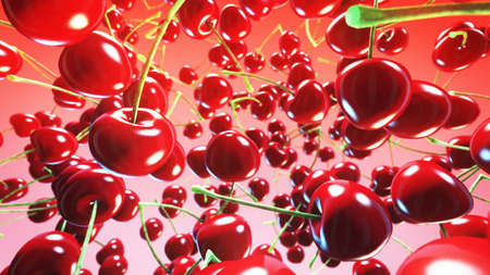 fresh cherries on pink background.