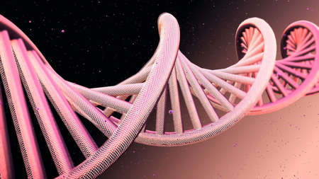 model of DNA strands.の写真素材
