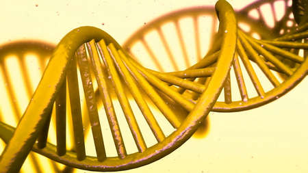 model of DNA strands.の写真素材