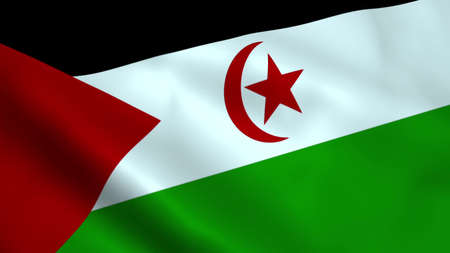 Realistic Western Sahara flagの写真素材
