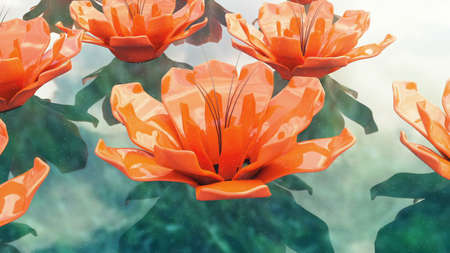 Time lapse opening of water lily flower.の写真素材