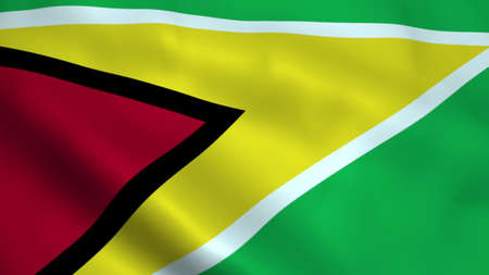 Realistic Guyana flag