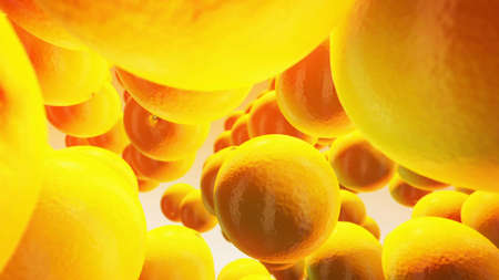 fresh orange on yellow background.の写真素材