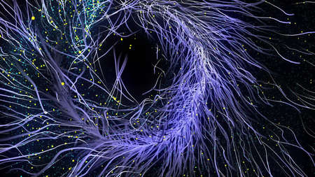 Streaks of multicolor Light Backgroundの写真素材