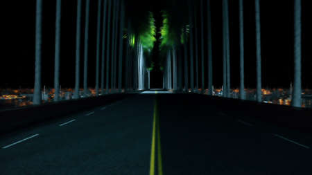 Driving through palm trees on an road at night 3D renderingの写真素材
