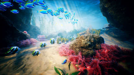 Underwater ocean waves and tropical fish 3D renderingの写真素材