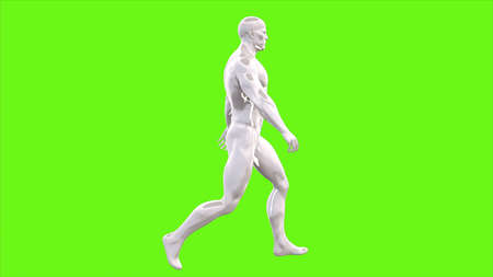 walking man on green screen.の写真素材