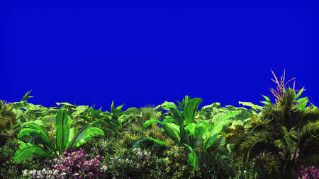 Tropical plants in the wind on blue screen. Beautiful summer background. 3D Renderingの写真素材