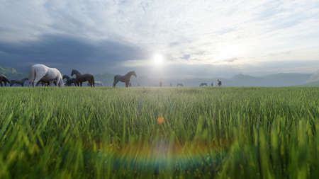 A herd of young horses graze on a picturesque green meadow on a beautiful summer morning. 3D Renderingの写真素材