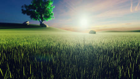 Mystical and fascinating  of morning green grass, tree on the background, morning sun and clouds flying by. 3D Renderingの写真素材