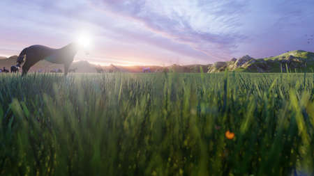 A herd of young horses graze on a picturesque green meadow on a beautiful summer morning. 3D Renderingの写真素材