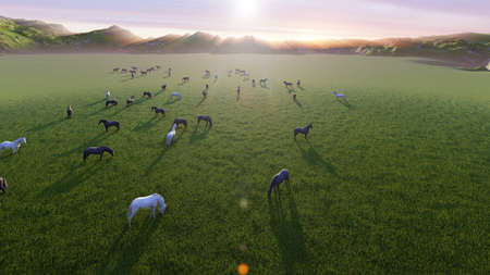 A herd of young horses graze on a picturesque green meadow on a beautiful summer morning. 3D Renderingの写真素材