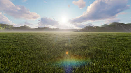 Air flight over a beautiful endless green field in the countryside. Beautiful nature, endless fields with insects and birds, moss. 3D Renderingの写真素材