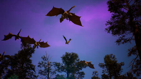 Amazing magical creatures fly over a mysterious night forest. Looping  for fantasy, fiction or fabulous backgrounds. 3D Rendering.の写真素材