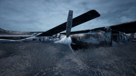 Rusty and broken planes stand in a field against a hazy blue sky. A lot of destroyed, destroyed,...