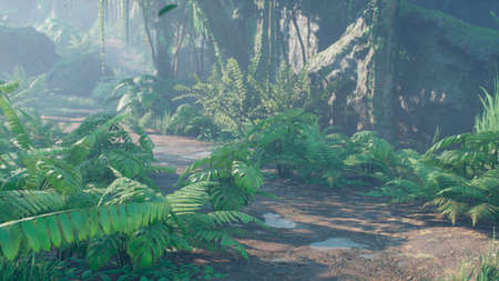 Beautiful jungle and green ferns in the rainforest. View of the green forest in the jungle on a sunny morning. 3D Rendering.の写真素材