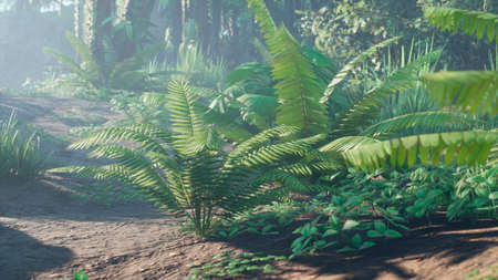 Beautiful jungle and green ferns in the rainforest. View of the green forest in the jungle on a sunny morning. 3D Rendering.の写真素材