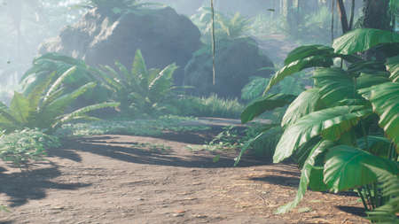 Beautiful jungle and green ferns in the rainforest. View of the green forest in the jungle on a sunny morning. 3D Rendering.の写真素材