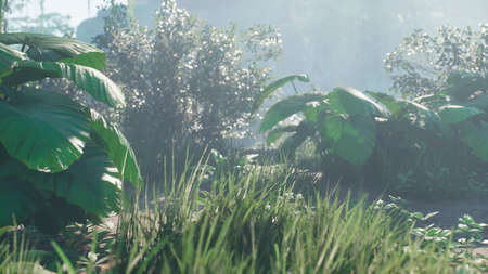 Beautiful jungle and green ferns in the rainforest. View of the green forest in the jungle on a sunny morning. 3D Rendering.の写真素材
