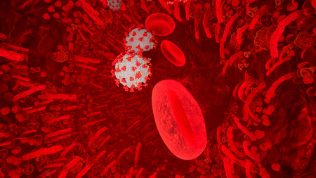 Flying through a blood vessel in an organism infected with the Covid-19 coronavirus. An organism infected with the 2019-ncov virus. Corona Virus, virus, covid 19. 3D Rendering.の写真素材