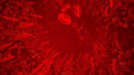 Red blood cells in artery of human body. Flying through a blood vessel in an organism. 3D Rendering.の写真素材