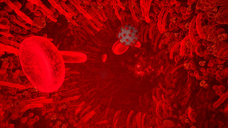 Flying through a blood vessel in an organism infected with the Covid-19 coronavirus. An organism infected with the 2019-ncov virus. Corona Virus, virus, covid 19. 3D Rendering.の写真素材