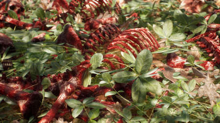 Bloody bones and skulls lie on the battlefield in the middle of the forest. War and apocalypse...
