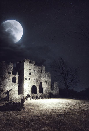 Mystical and spooky castle in the dark and in the fog. An ancient historical castle. 3D rendering.の素材