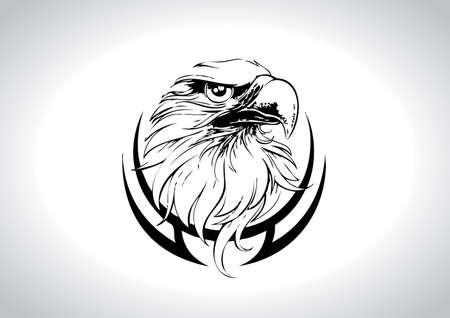 Eagle Head Line Art Vector Illustration のイラスト素材