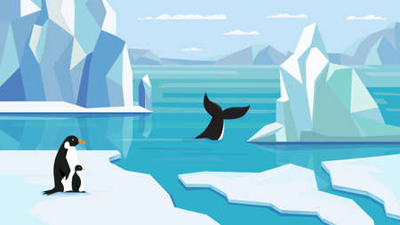 Antarctic view, banner in flat cartoon design. Scenery with penguins on glacier, icebergs float in cold blue water. Wildlife panoramic with northern landscape. Vector illustration of web backgroundのイラスト素材