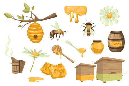 Honey and beekeeping design elements set. Collection of bee, beehive, chamomile, barrel, jar, spoon, honeycomb, apiary, beekeeping smoker. Vector illustration isolated objects in flat cartoon styleのイラスト素材