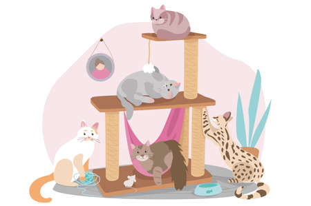 Cute pets sitting concept background. Cats are sitting on couch in living room, relaxing or playing in cozy room. Domestic animals care. Vector illustration in flat cartoon designのイラスト素材