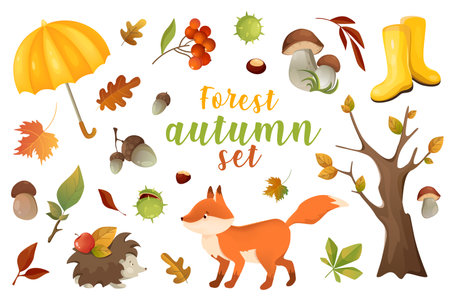 Autumn forest 3d realistic set. Vector illustration isolated elementsのイラスト素材