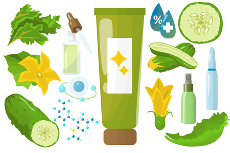 Cream ingredients(cucumber and collagen) set concept without people scene in the flat cartoon style. Collagen cream and the products included in its composition. Vector illustration.のイラスト素材