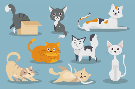 Playful cute cats flat item set concept without people scene in the flat cartoon design. Cute cats having fun and playing at home. Vector illustration.のイラスト素材
